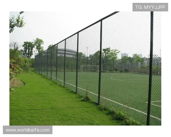 武汉凯发体育为武汉打造国际化体育城市的战略探讨