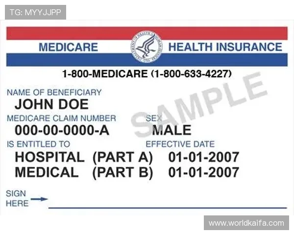 如何选择安全可靠的凯发娱乐官网地址，避免账号被盗的实用技巧