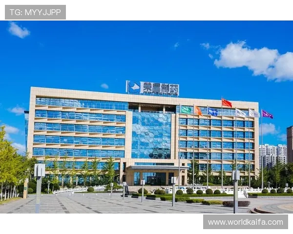 凯发国际k8官网登录手机端操作教程，详细步骤帮助新手快速上手安全登录